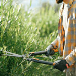 Prevención de riesgos específicos: trabajos de jardinería
