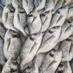 Manipulación de alimentos en pescaderías
