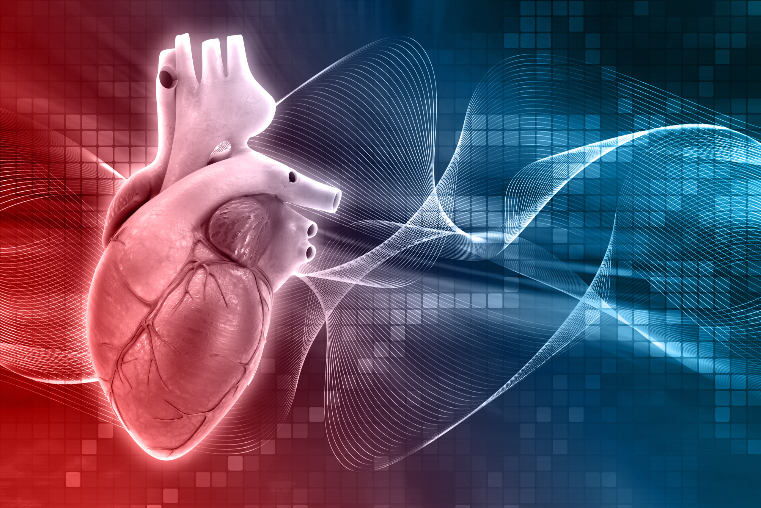 Read more about the article Què diferencia l’angina de pit, d’infart de miocardi i d’una aturada cardíaca i com actuar en cada cas?