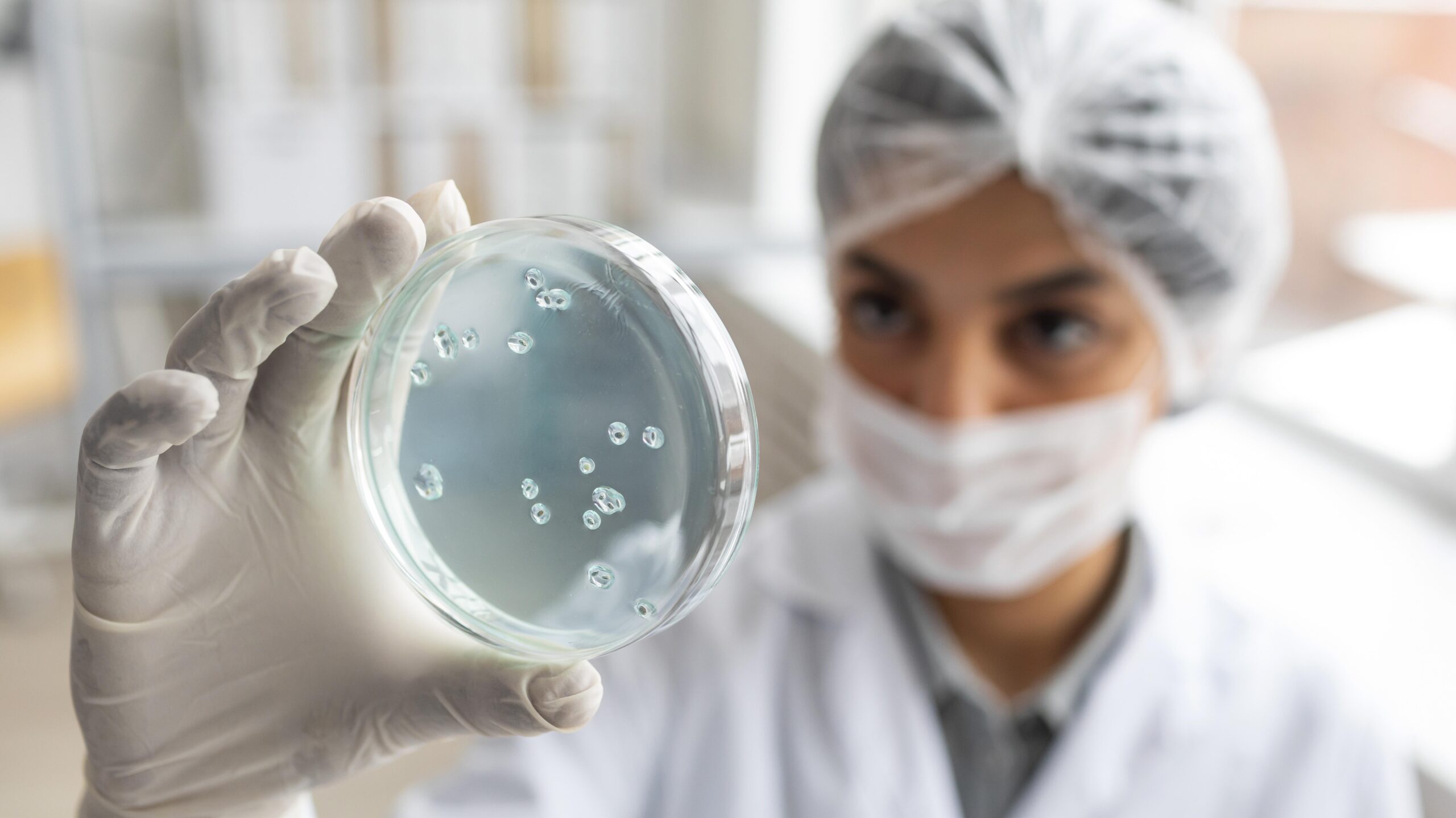 Lee más sobre el artículo Estudio de la Listeria monocytogenes: una bacteria con grandes capacidades de adaptación